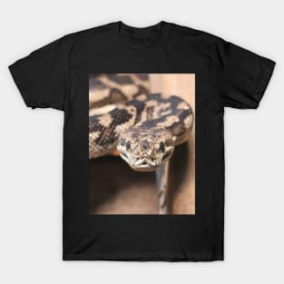 South-West Carpet Python T-Shirt